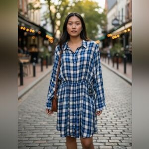 Express Blue and White Plaid Long Sleeve Dress